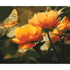 Adult Beginner Paint-by-Numbers Kit