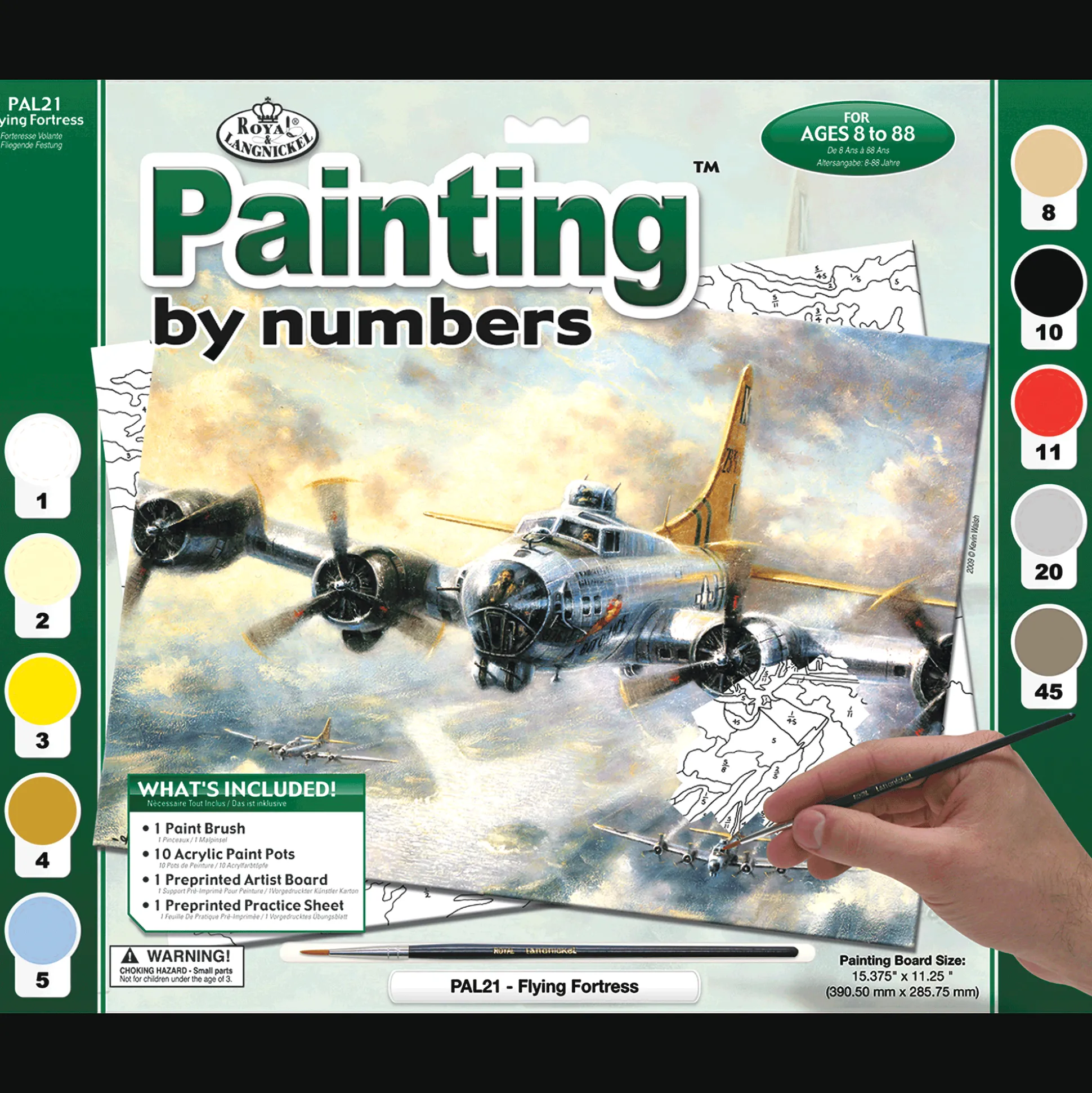 Adult Pre-Printed Paint-by-Number Kit