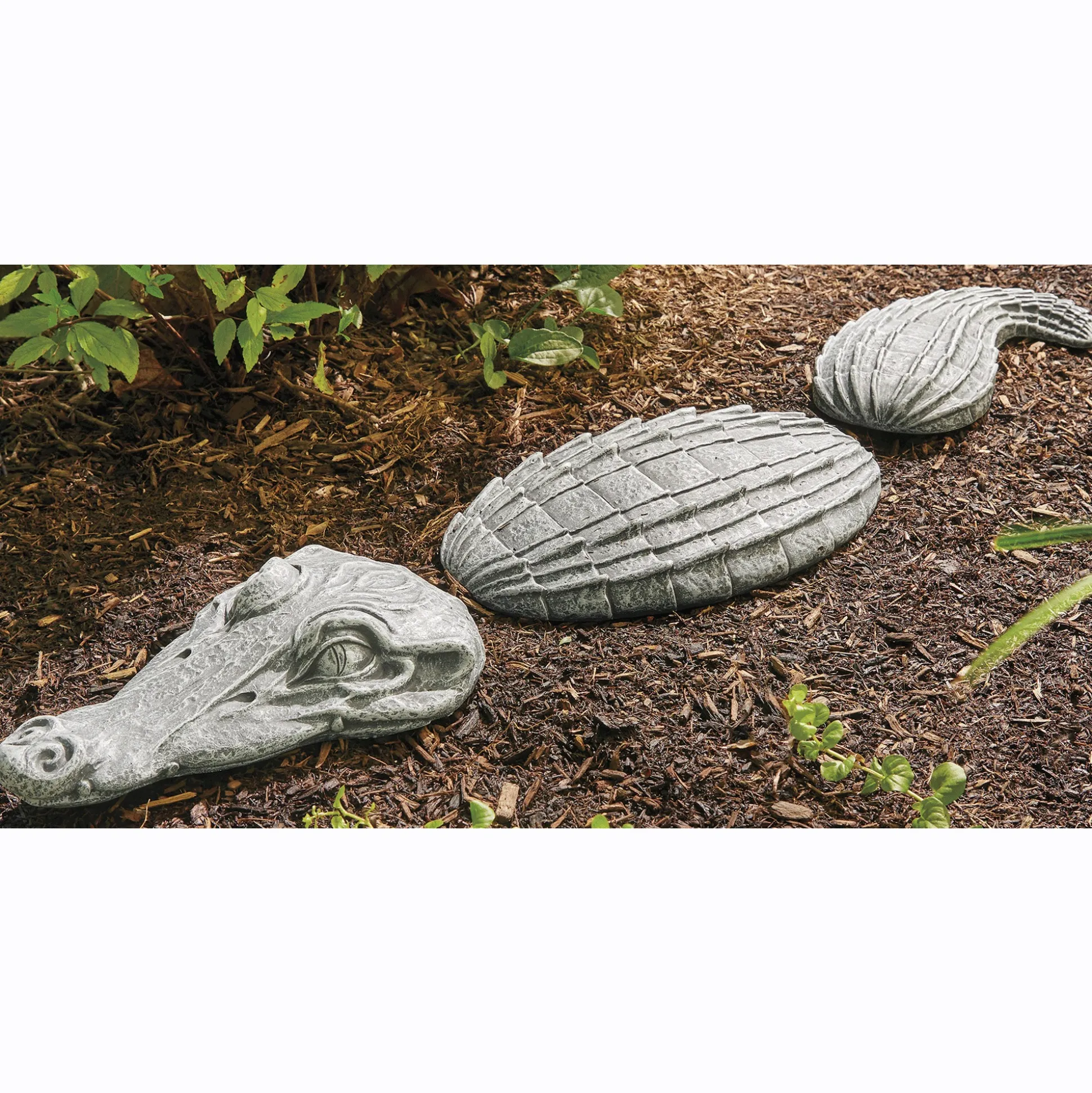 Alligator Stones