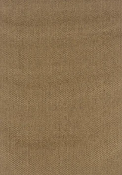 Basketweave Indoor/Outdoor Rug