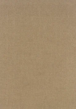 Basketweave Indoor/Outdoor Rug