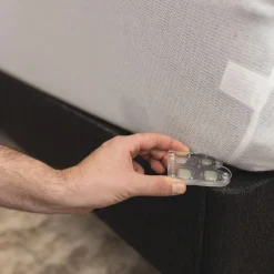 Bed Bug Traps