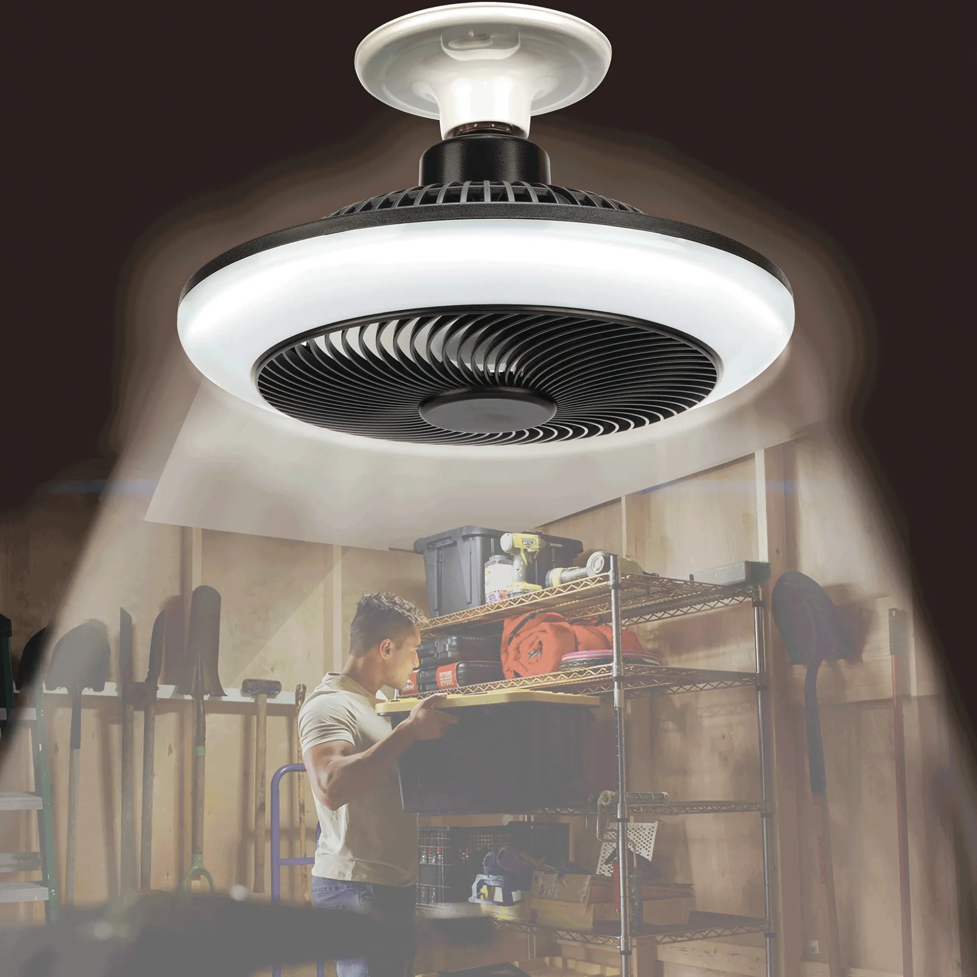 Breeze Brite Light Fan