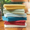 Brights 12-Piece Dishcloth Set