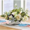 Coastal Arrangement in Shell