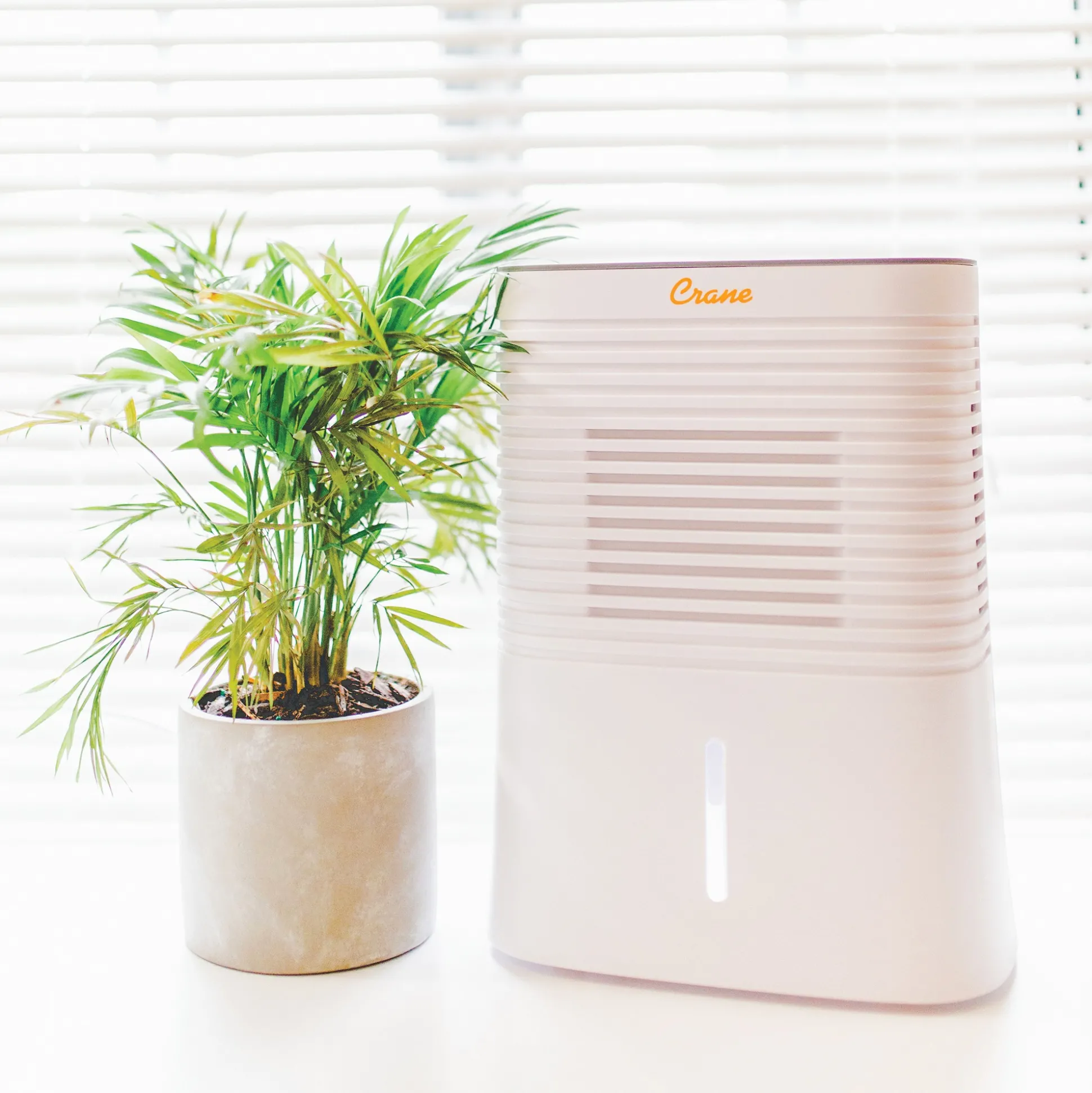 Crane 4-Pint Compact Dehumidifier