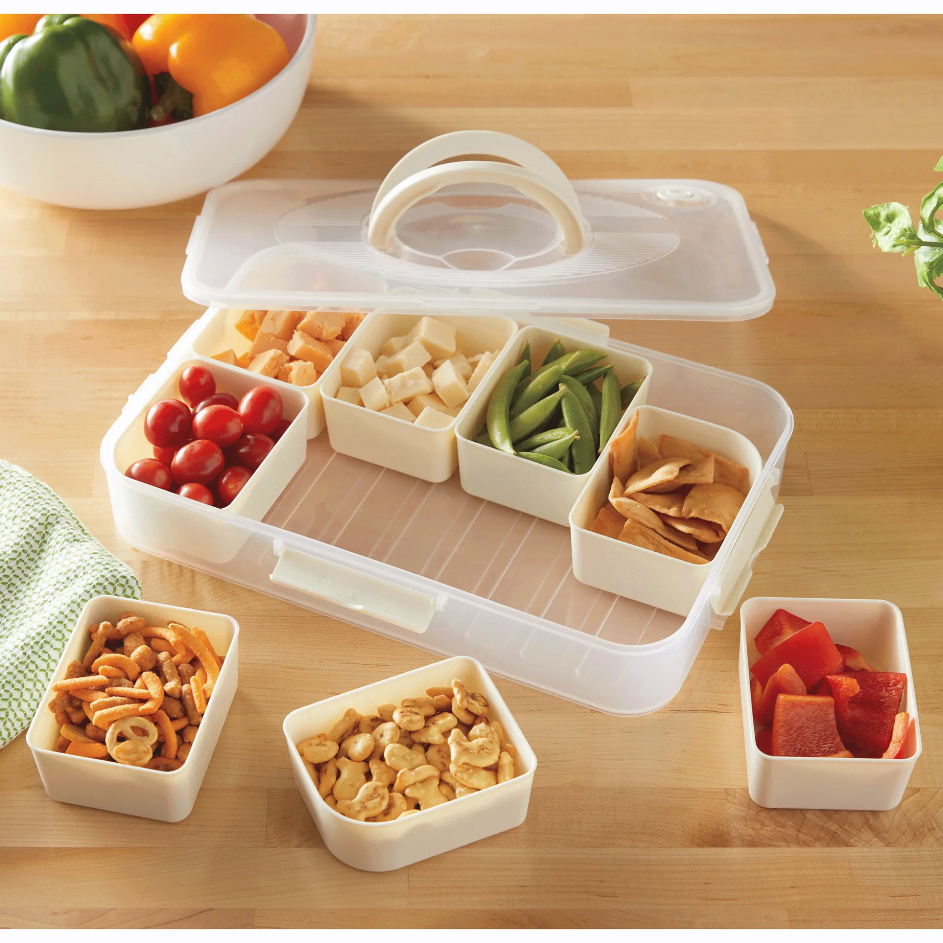 Divided Container with Lid & Handle