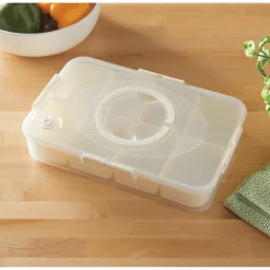 Divided Container with Lid & Handle