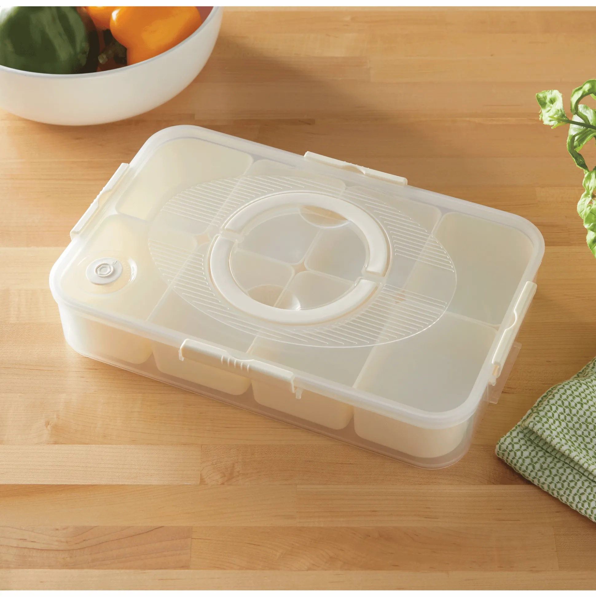 Divided Container with Lid & Handle