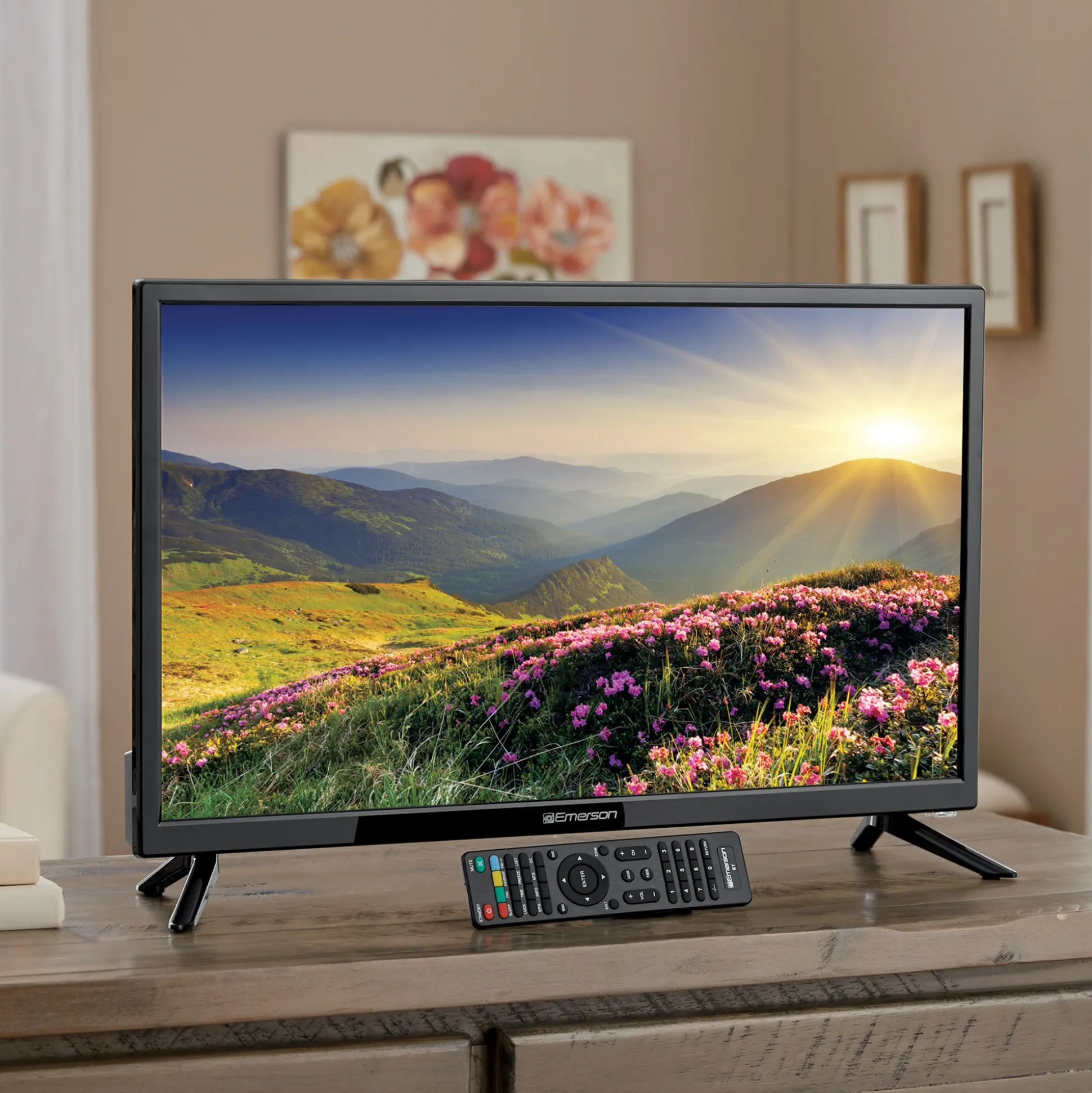 Emerson 24" LED TV