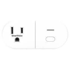 Emerson SmartVoice Wall Plug