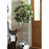Everyday Faux Rubber Tree