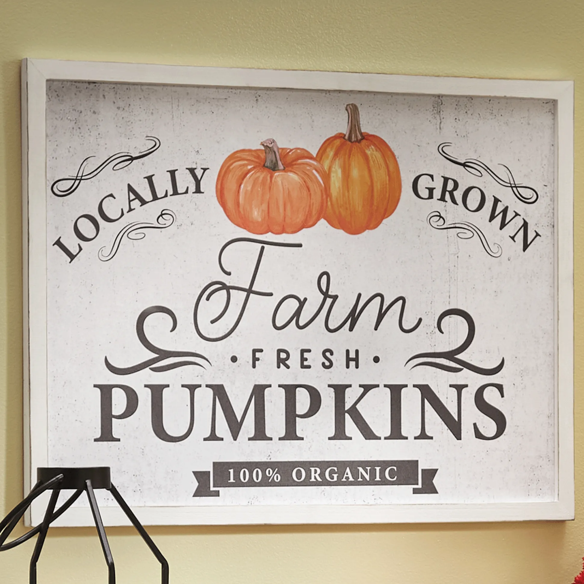 Farm Fresh Pumpkins Wall Art