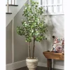 Faux Eucalyptus Tree in Pot
