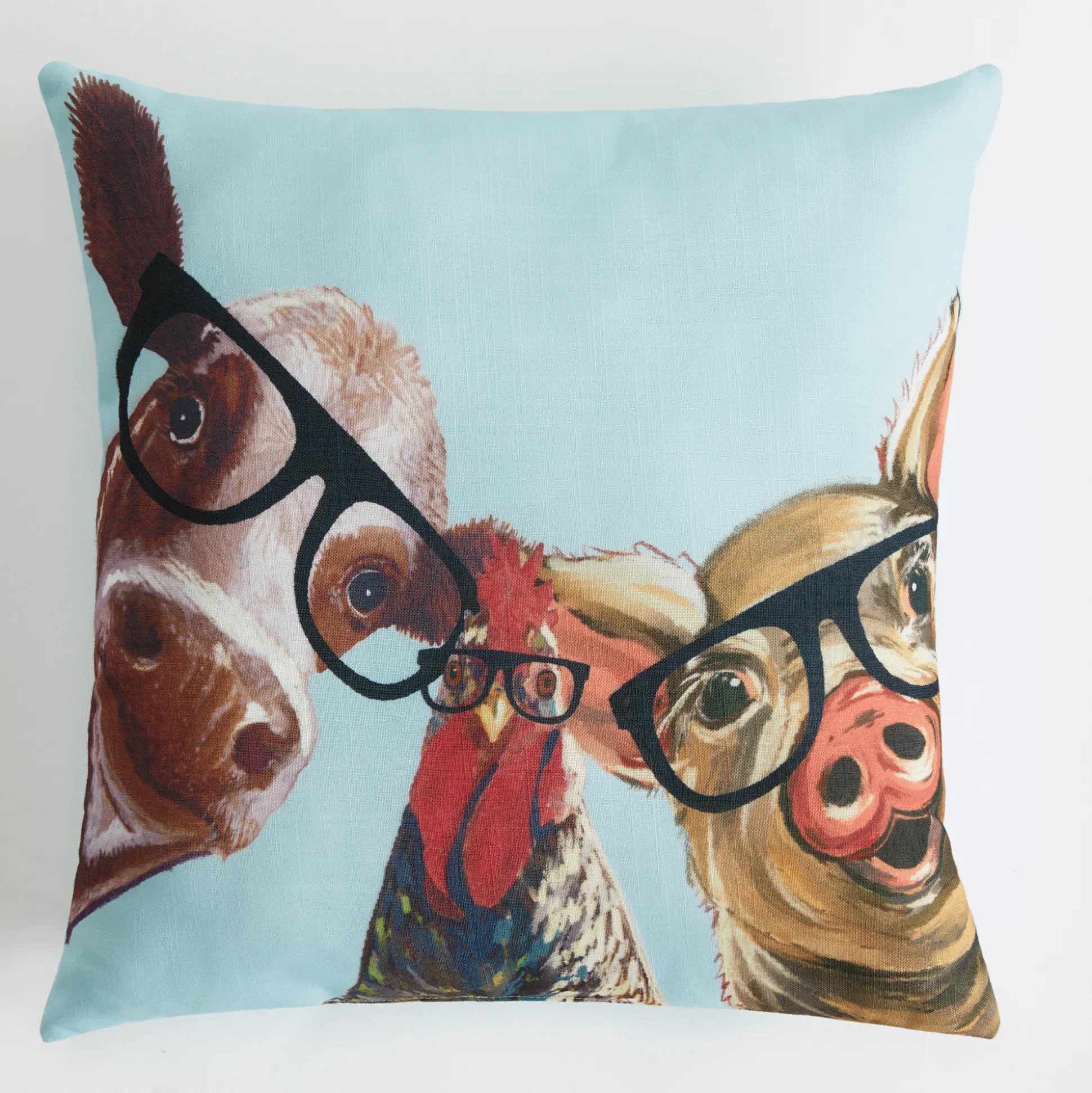Funny Farm Decorative Pillow