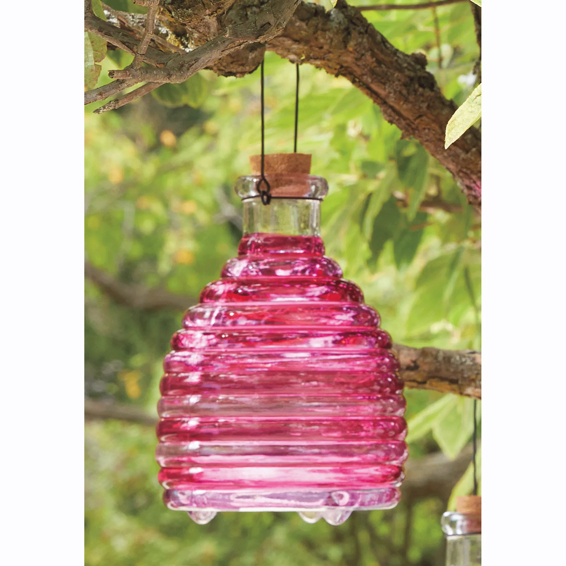 Glass Wasp Trap