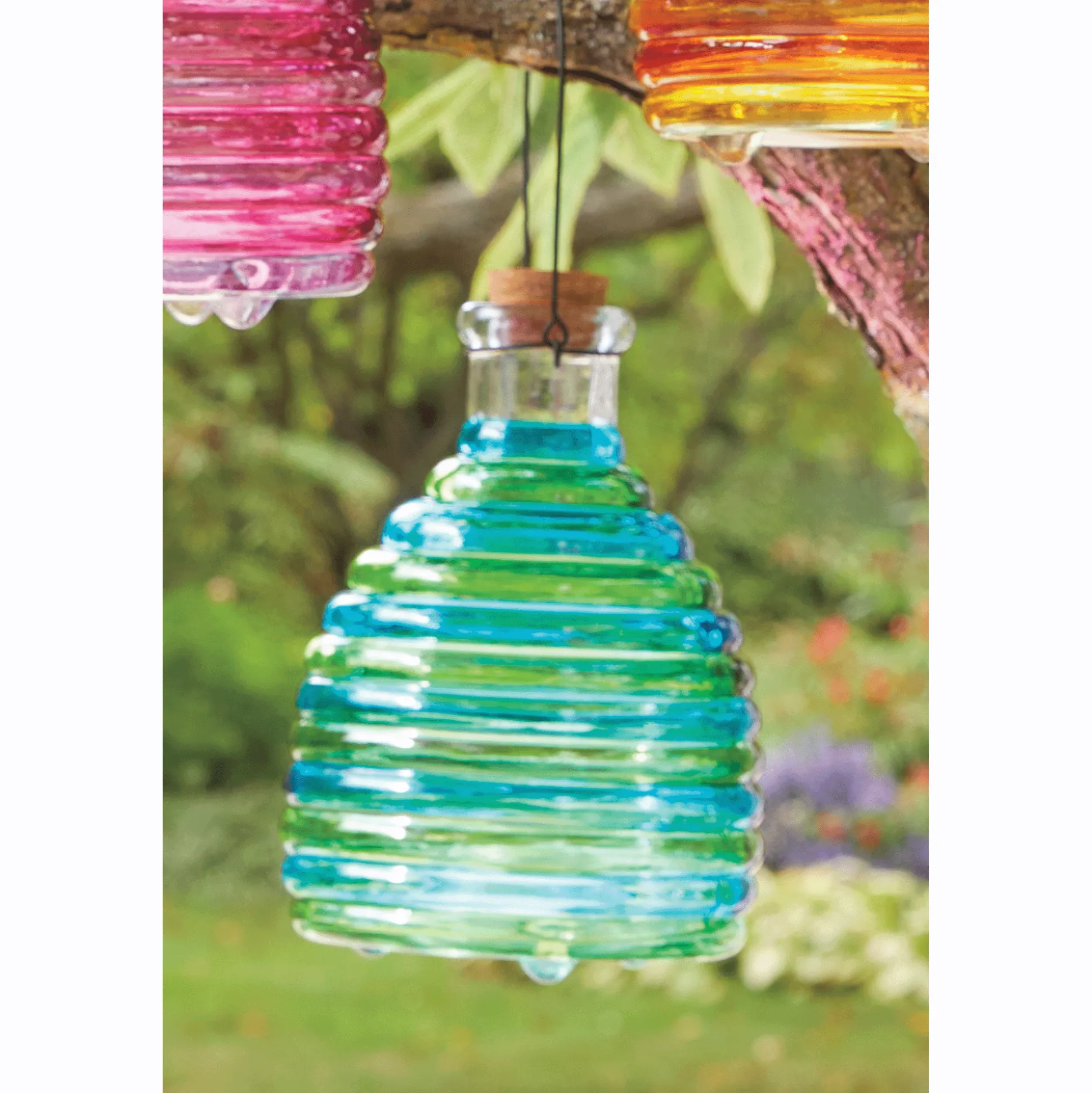 Glass Wasp Trap