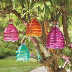 Glass Wasp Trap