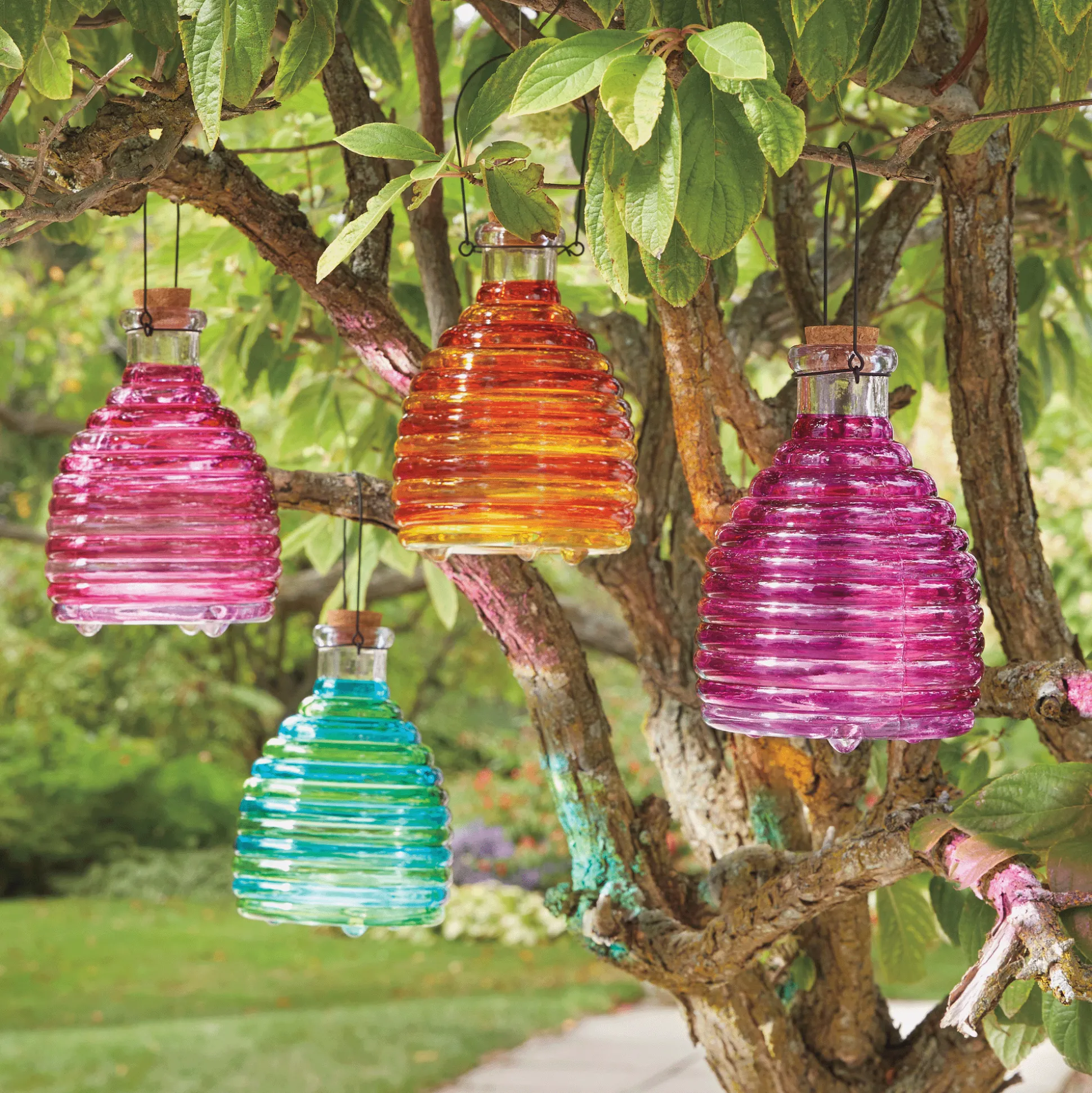 Glass Wasp Trap