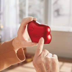 Heart-Shaped Recordable Frame