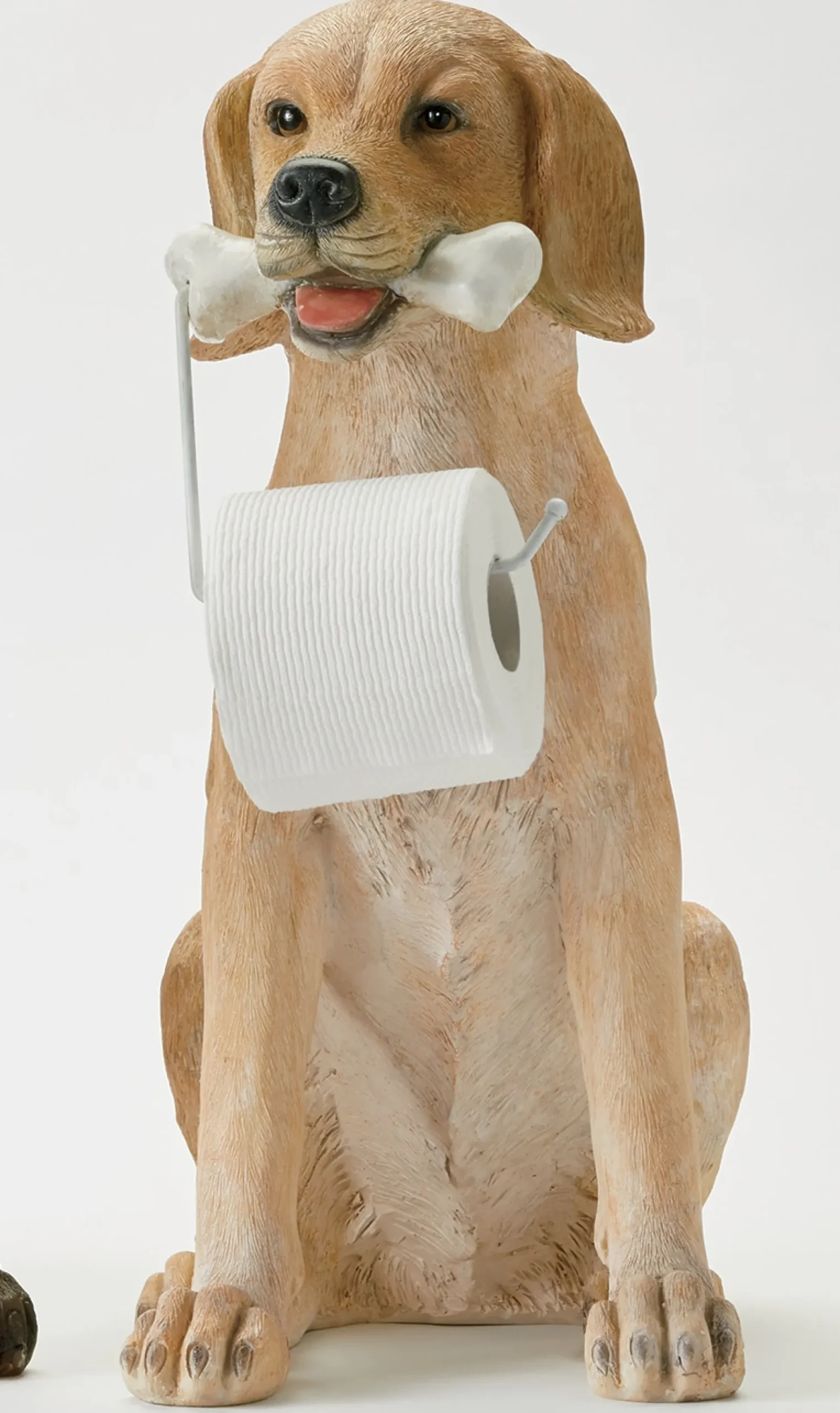 Lab Bathroom Tissue Holder