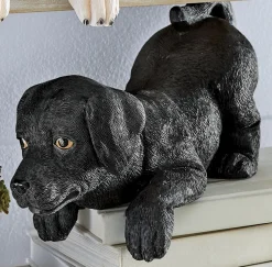 Labrador Shelf Sitter