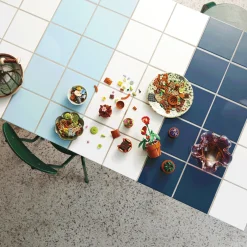 LEGO Icons Tiny Plants