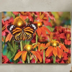 Lit Monarch Butterfly Wall Art
