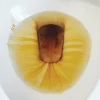 Mer-Maid Toilet Cleaner