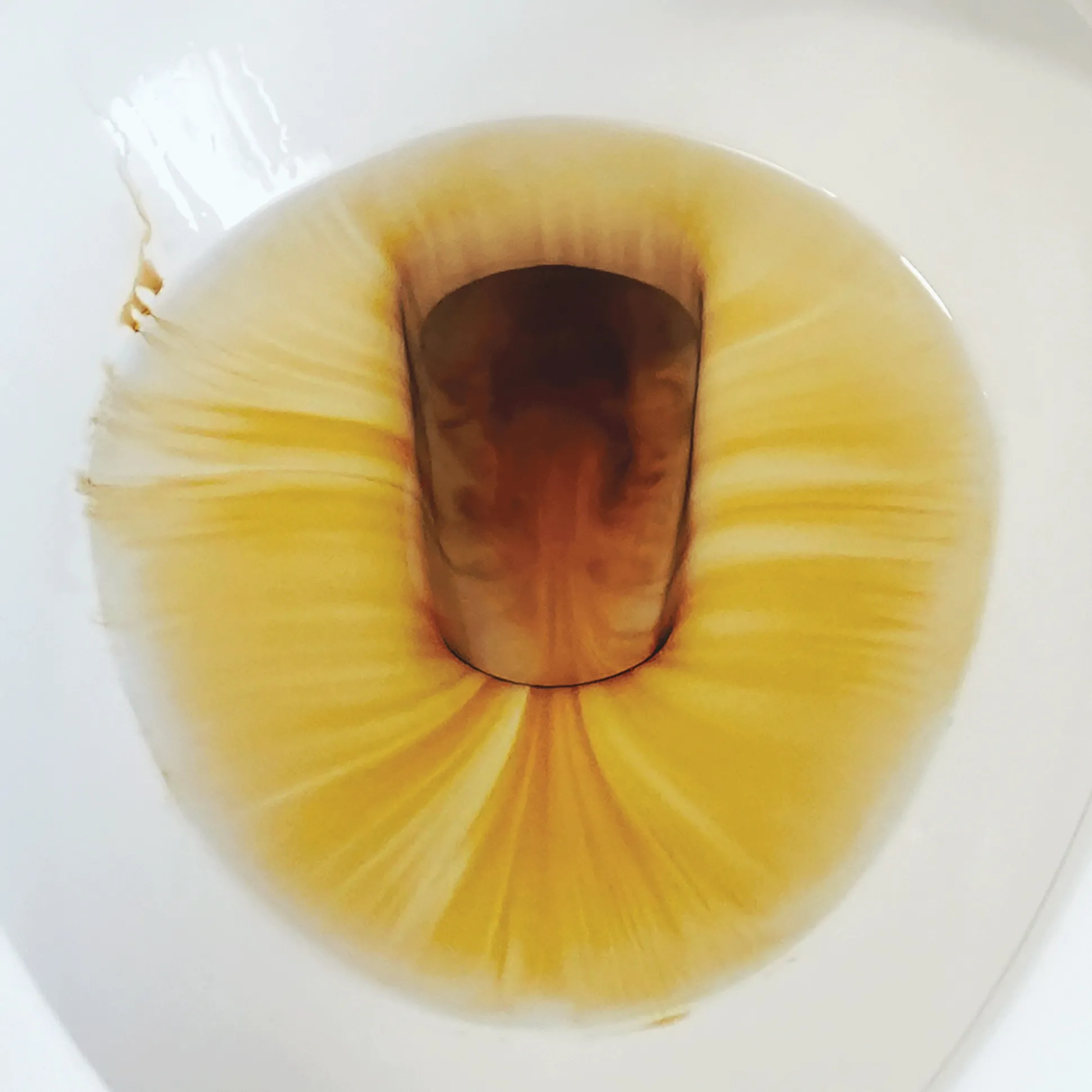 Mer-Maid Toilet Cleaner