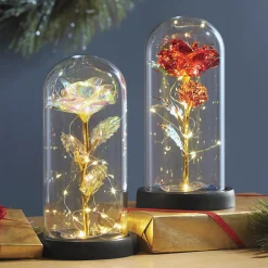 Multicolor Lit Flower in Cloche