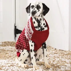 Personalized Heart Argyle Pet Sweater