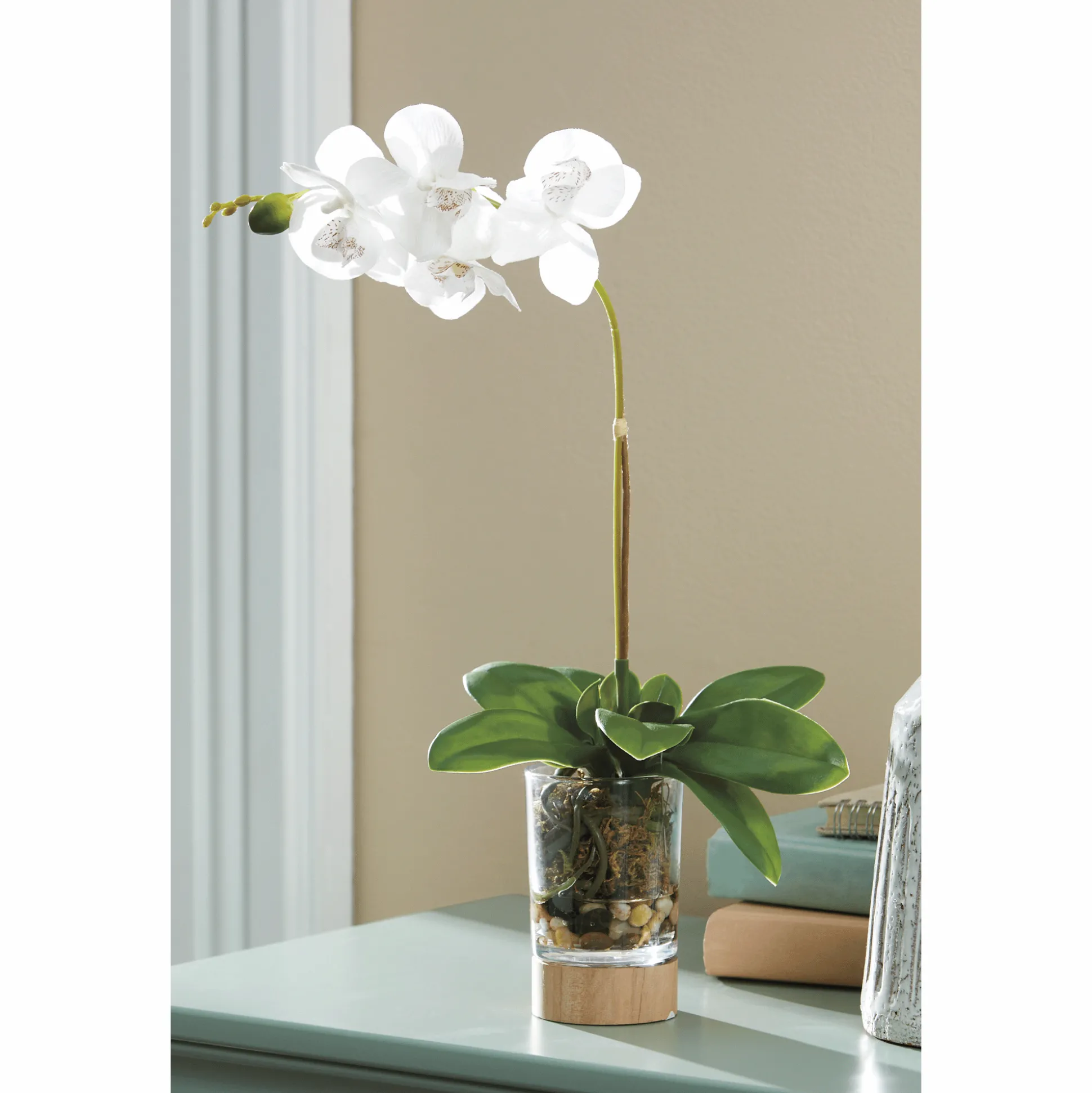 Potted Orchid