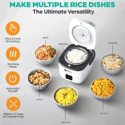 Rice Robot Compact Rice Cooker with Color Coded System