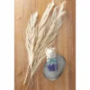 Set of 4 Dried Feathered Leaves