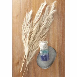 Set of 4 Dried Feathered Leaves