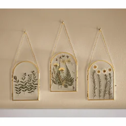Set of 3 Dried Floral Framed Art