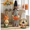 Set of 3 Large Lit Thanksgiving Gnomes