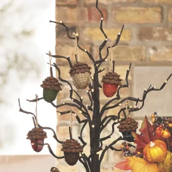 Set of 6 Mixed Acorns