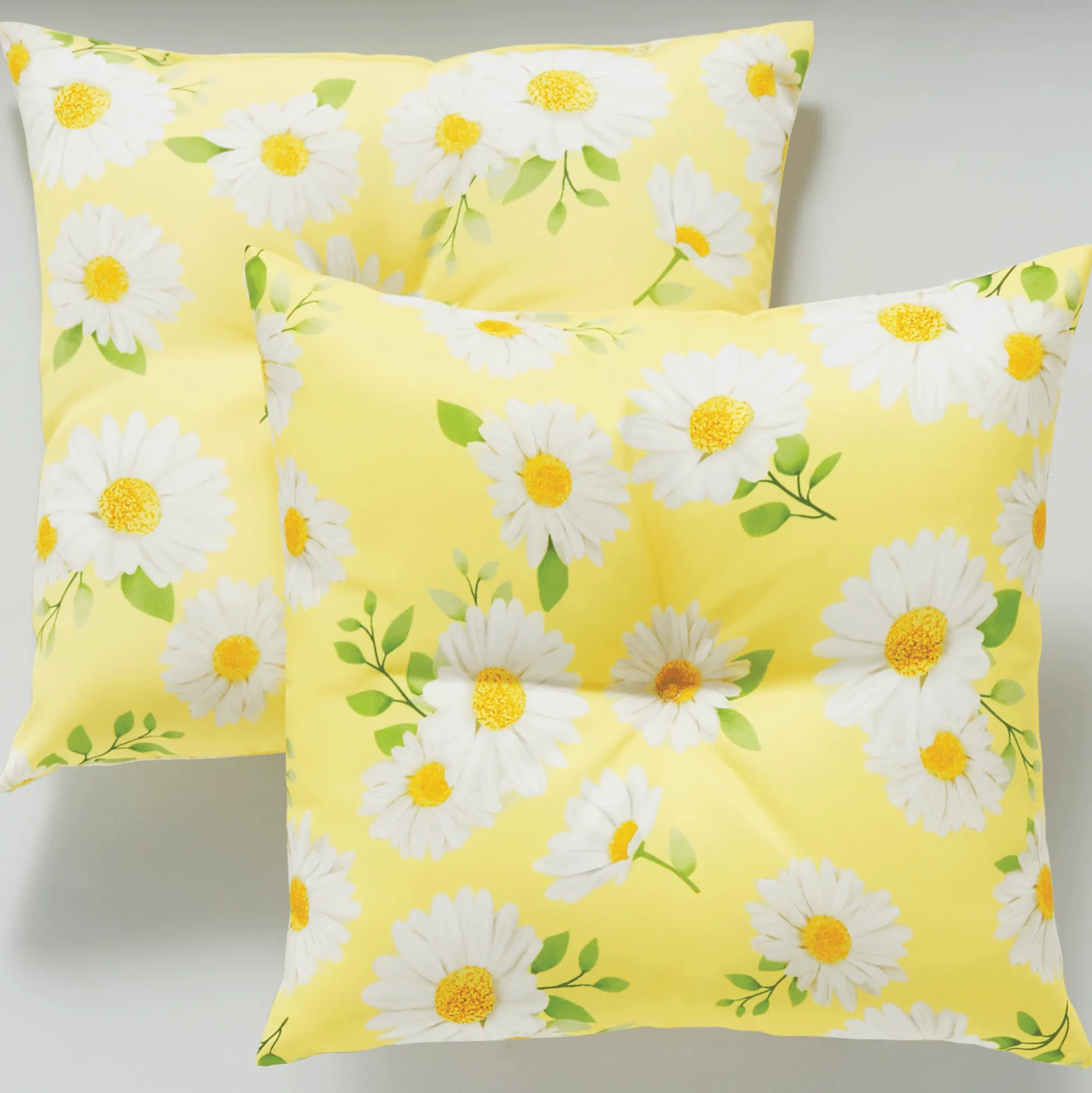 Set of 2 Pillows