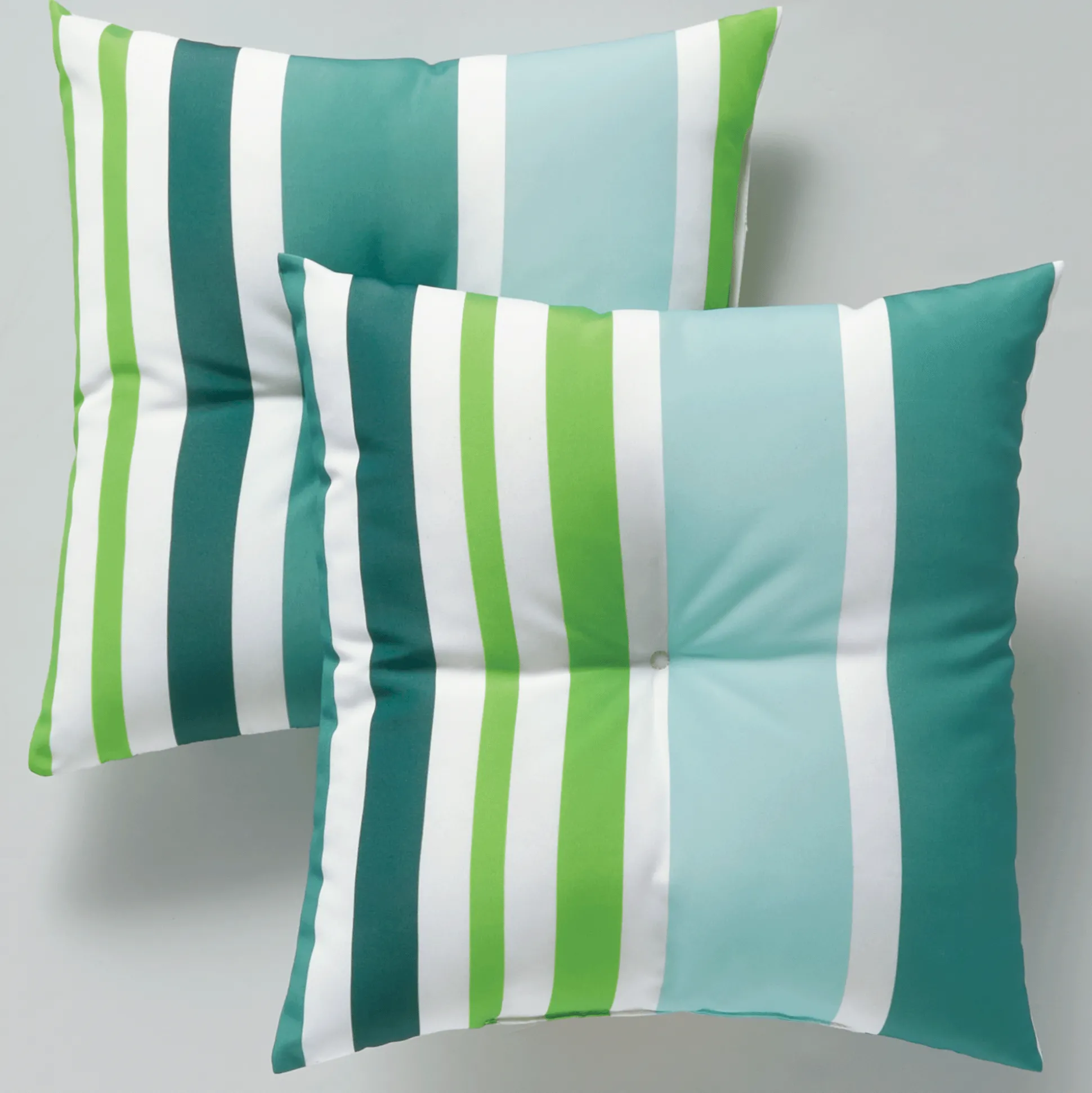 Set of 2 Pillows
