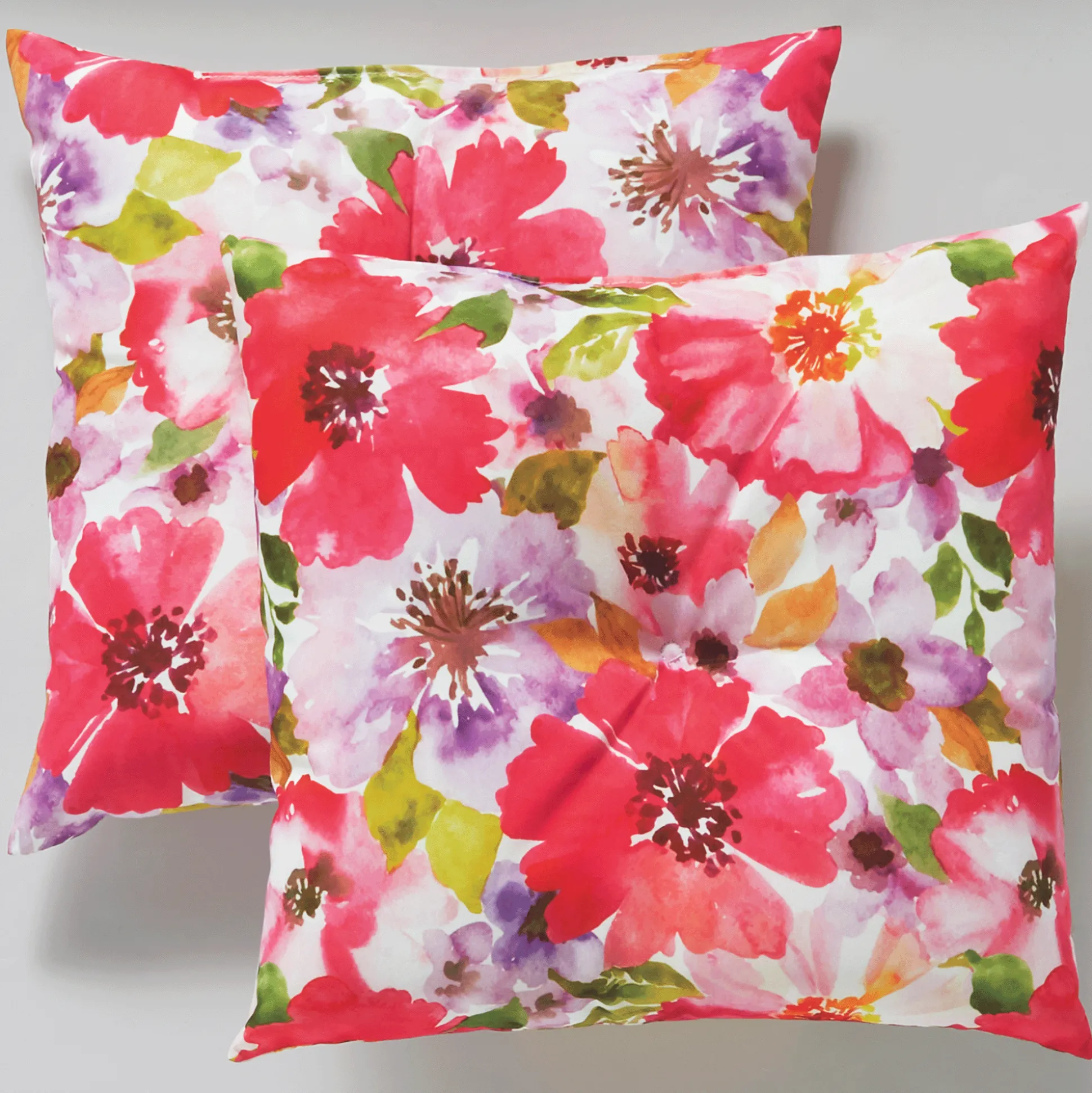 Set of 2 Pillows