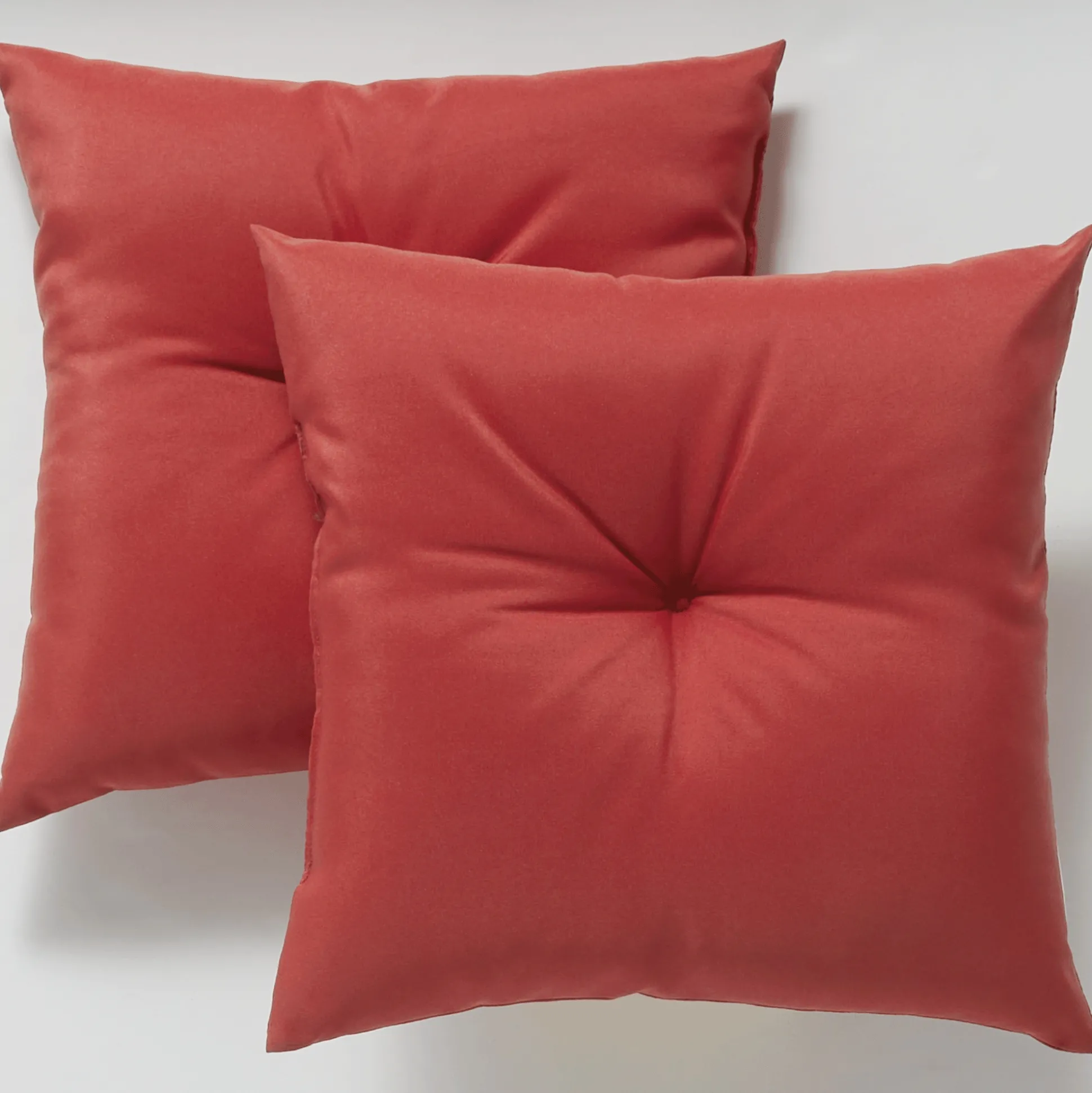Set of 2 Pillows