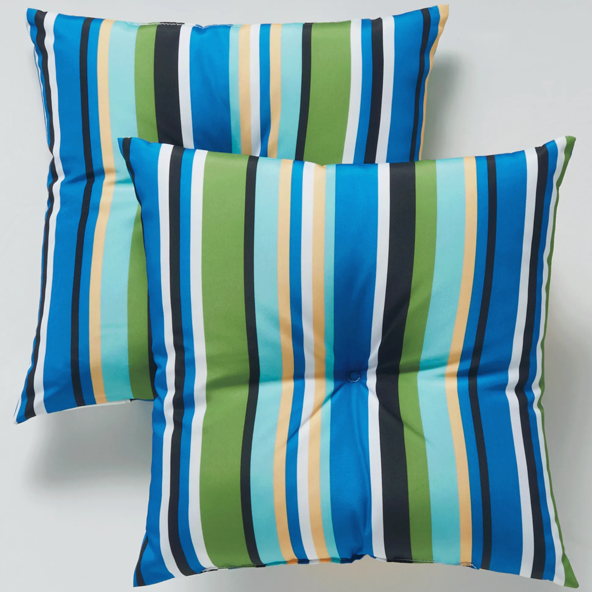 Set of 2 Pillows