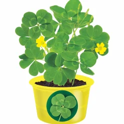 Shamrock Seed Sprouts