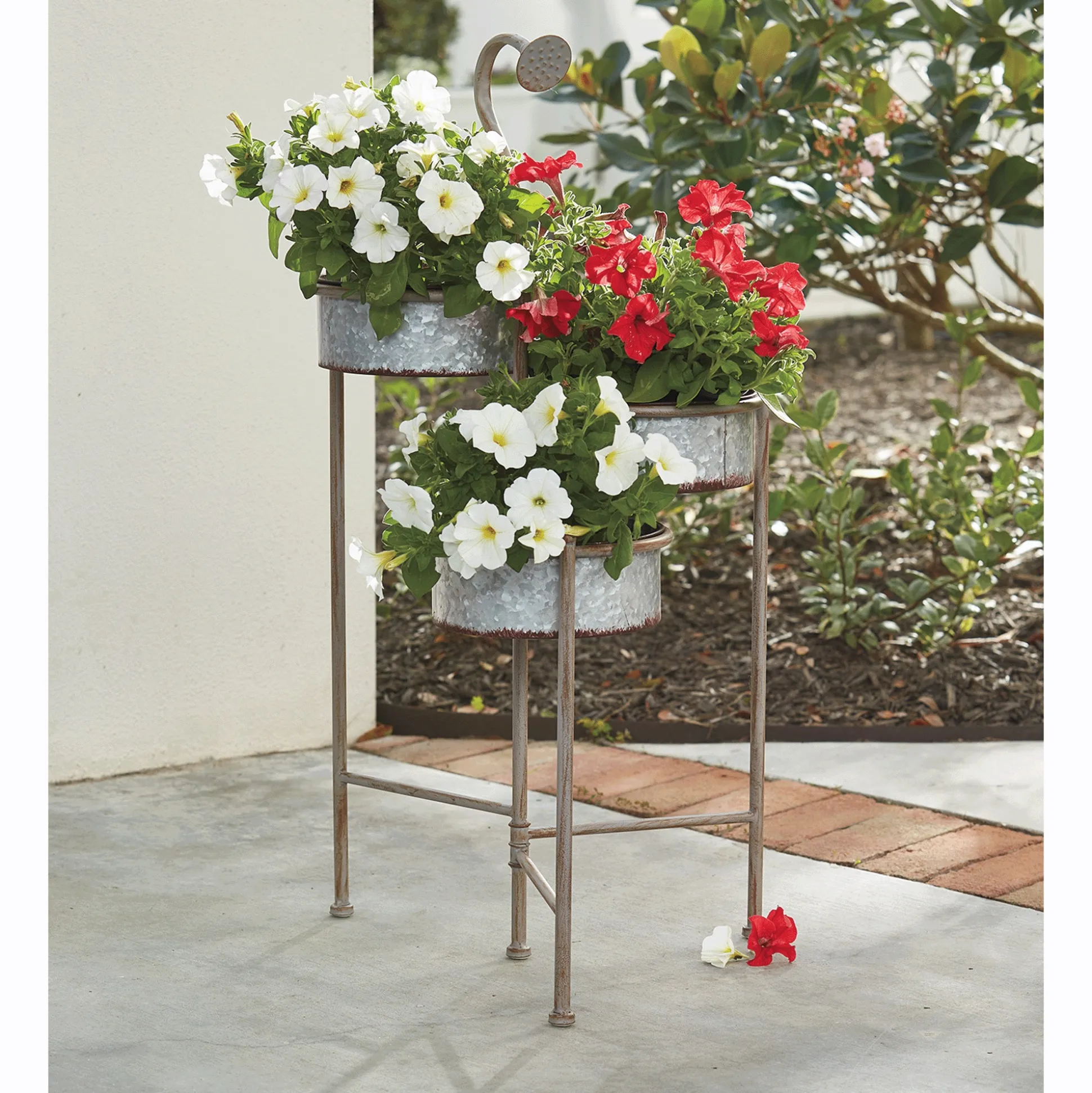 Shower Head Planter
