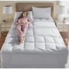 Sleep Connection Lumbar Support Topper