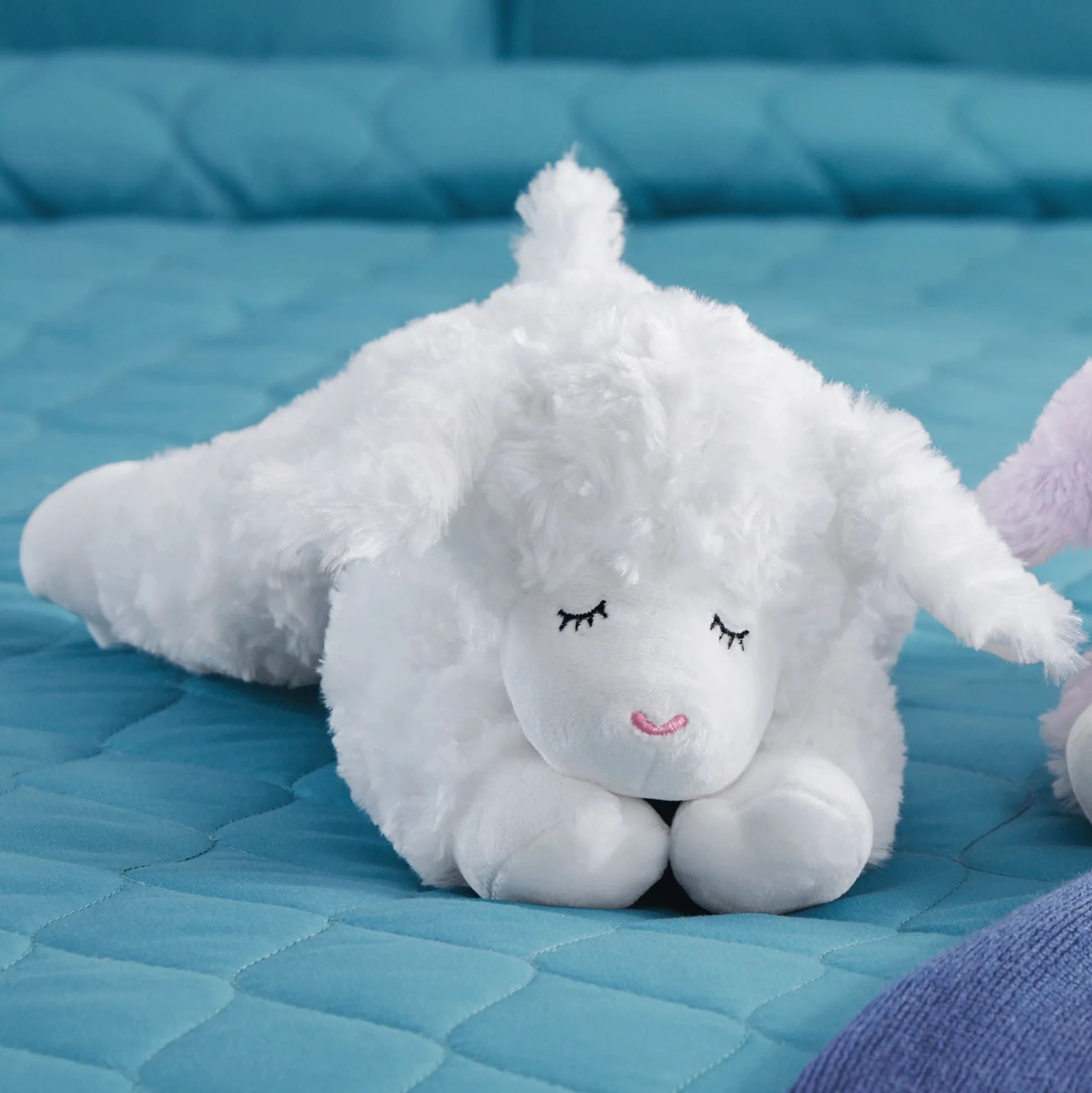 Sleepy Lamb