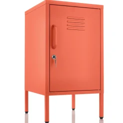Small Locker Cabinet