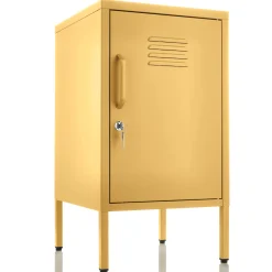 Small Locker Cabinet